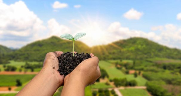 https://instabestcaptions.com/the-sustainable-lifestyle-movement-navigating-eco-friendly-choices-in-everyday-life/
