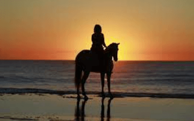 Unleashing the Thrill: A Deep Dive into Barrel Racing – Techniques, Equipment, and FAQs