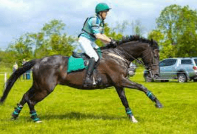 Horseball Unleashed: A Comprehensive Guide to the Thrilling Equestrian Sport