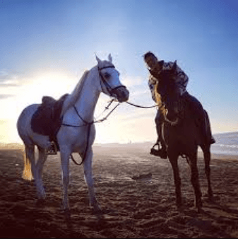 Unveiling the Heart-Pounding World of Rodeo: A Deep Dive into the Thrills and Traditions
