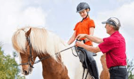 Embracing Elegance and Grace: A Comprehensive Guide to the World of Equestrianism