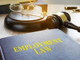 Employment Attorney Vs. Labor Attorney: Major Differences to Consider!
