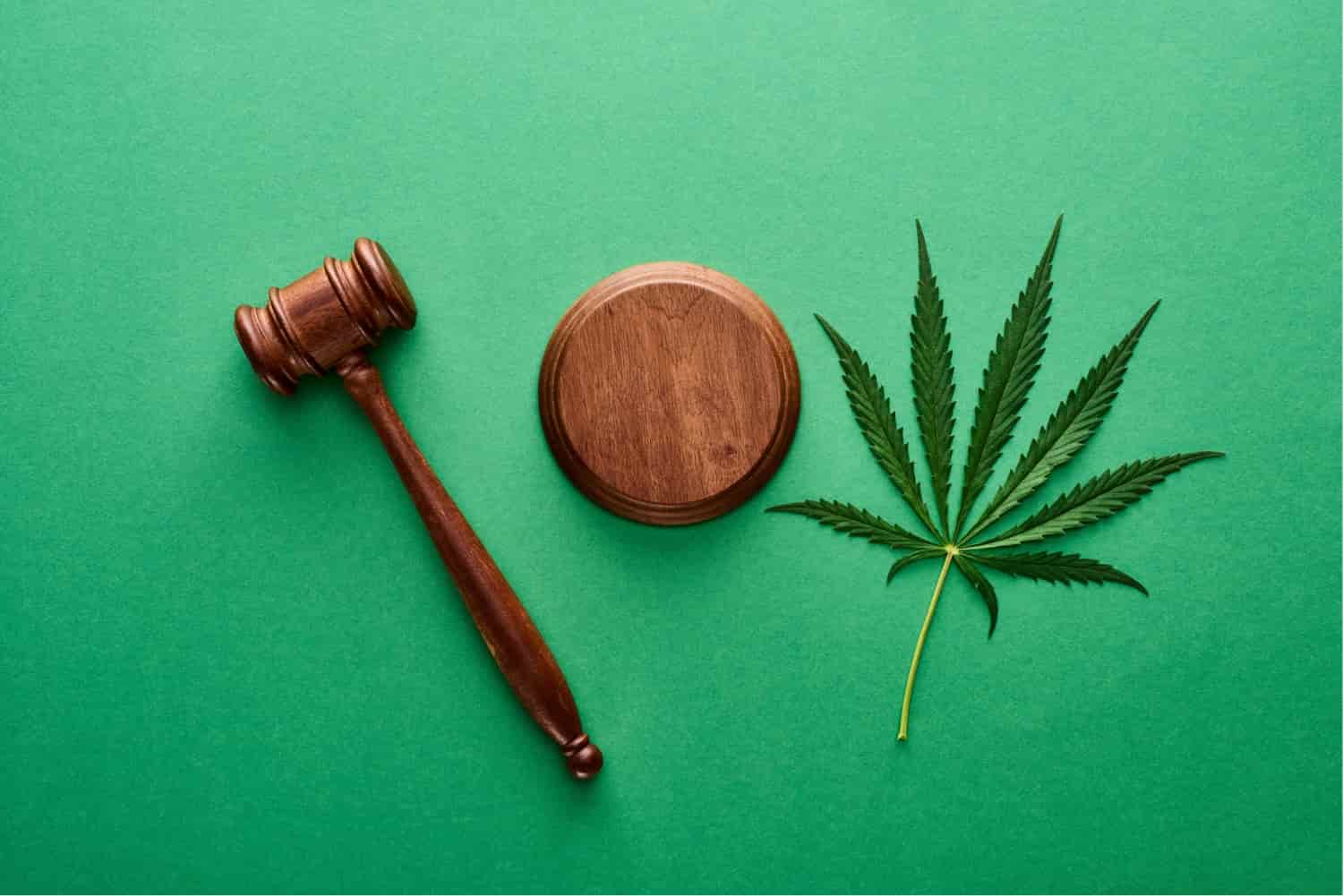 Florida Marijuana Laws: What You Need to Know Before You Buy